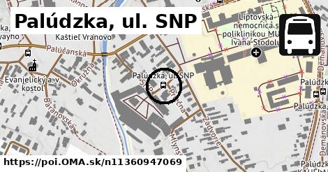 Palúdzka, ul. SNP