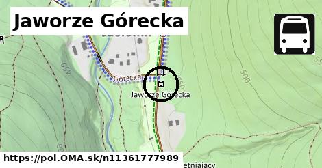 Jaworze Górecka