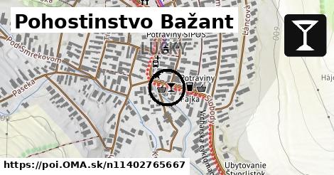 Pohostinstvo Bažant