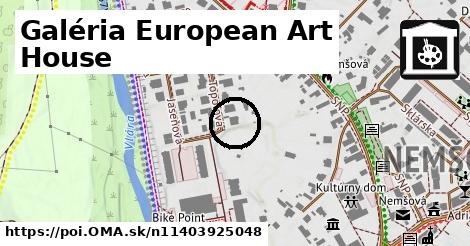 Galéria European Art House