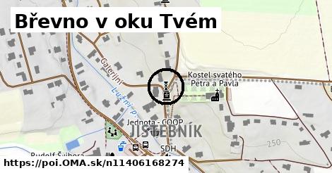 Břevno v oku Tvém