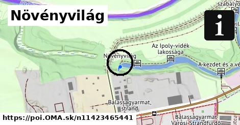 Növényvilág