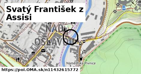 Svatý František z Assisi