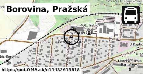 Borovina, Pražská
