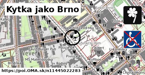 Kytka jako Brno