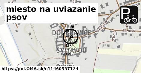 miesto na uviazanie psov