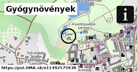 Gyógynövények