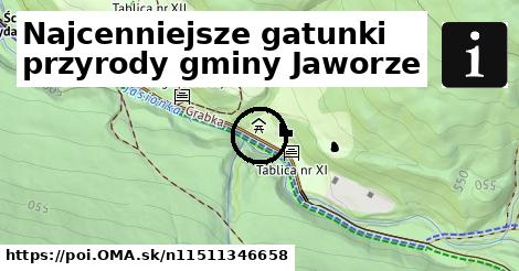 Najcenniejsze gatunki przyrody gminy Jaworze