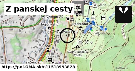 Z panskej cesty