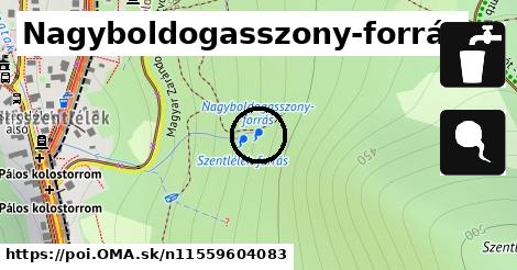 Nagyboldogasszony-forrás