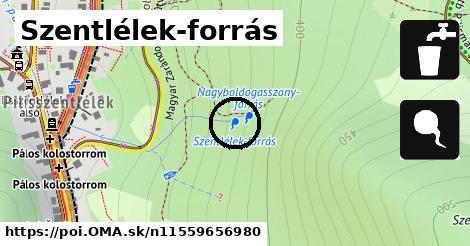 Szentlélek-forrás