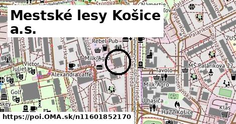 Mestské lesy Košice a.s.