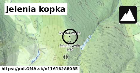 Jelenia kopka