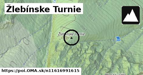 Žlebínske Turnie