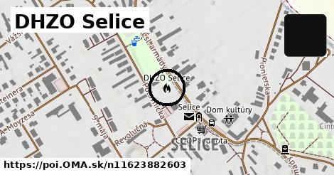 DHZO Selice