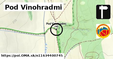 Pod Vinohradmi