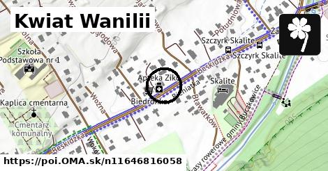 Kwiat Wanilii