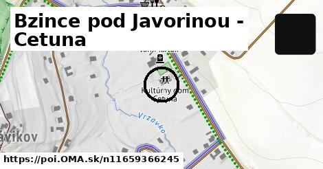 Bzince pod Javorinou - Cetuna