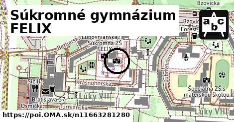 Súkromné gymnázium FELIX