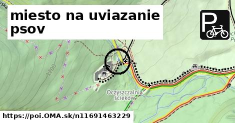 miesto na uviazanie psov