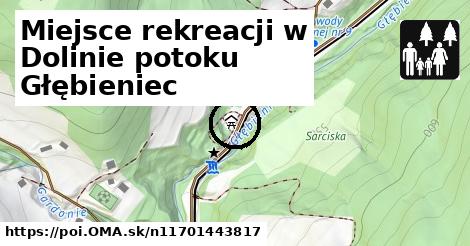 Miejsce rekreacji w Dolinie potoku Głębieniec