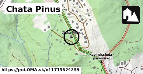 Chata Pinus