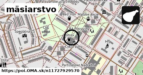 mäsiarstvo