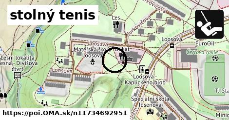 stolný tenis