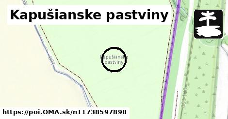 Kapušianske pastviny