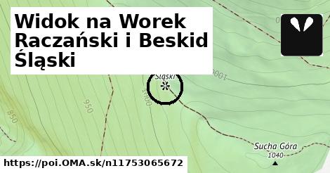 Widok na Worek Raczański i Beskid Śląski