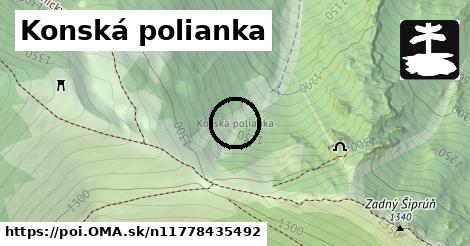 Konská polianka