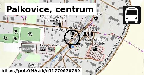 Palkovice, centrum