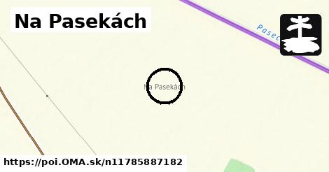 Na Pasekách