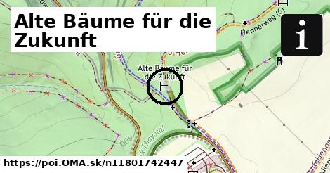 Alte Bäume für die Zukunft