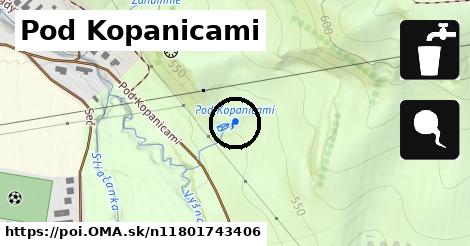 Pod Kopanicami