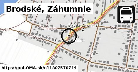 Brodské, Záhumnie