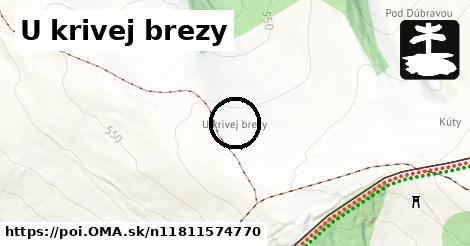 U krivej brezy