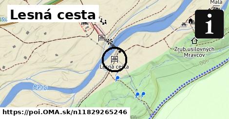 Lesná cesta