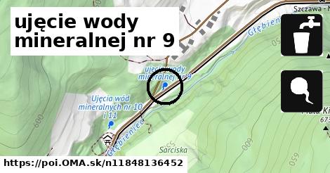 ujęcie wody mineralnej nr 9