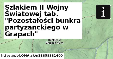 Szlakiem II Wojny Światowej tab. "Pozostałości bunkra partyzanckiego w Grapach"