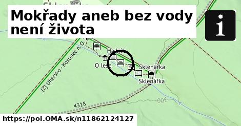 Mokřady aneb bez vody není života