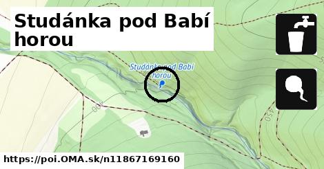 Studánka pod Babí horou