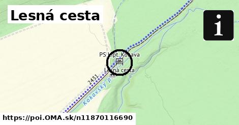 Lesná cesta