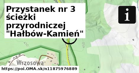 Przystanek nr 3 ścieżki przyrodniczej "Hałbów-Kamień"