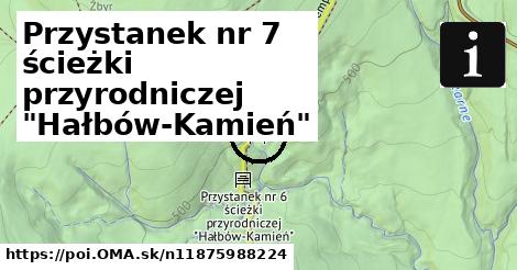 Przystanek nr 7 ścieżki przyrodniczej "Hałbów-Kamień"