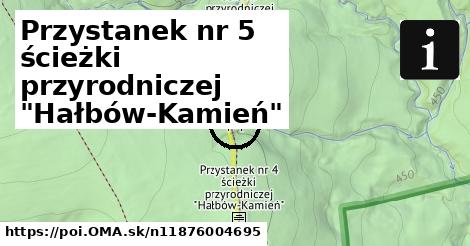 Przystanek nr 5 ścieżki przyrodniczej "Hałbów-Kamień"