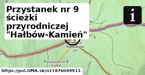 Przystanek nr 9 ścieżki przyrodniczej "Hałbów-Kamień"