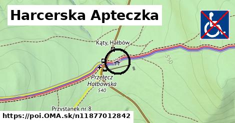 Harcerska Apteczka