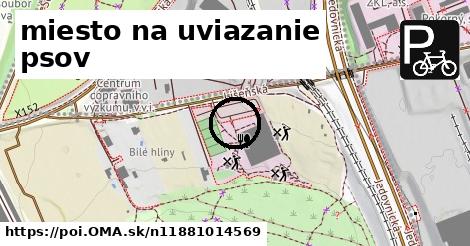 miesto na uviazanie psov