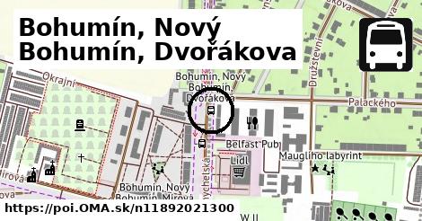 Bohumín, Nový Bohumín, Dvořákova